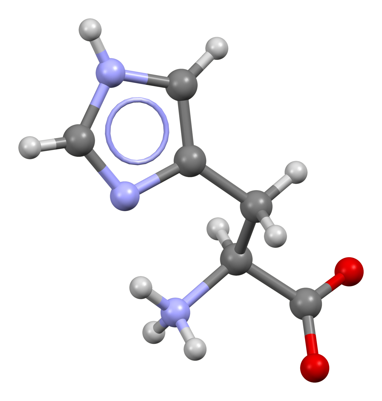 Human Histidine Needs