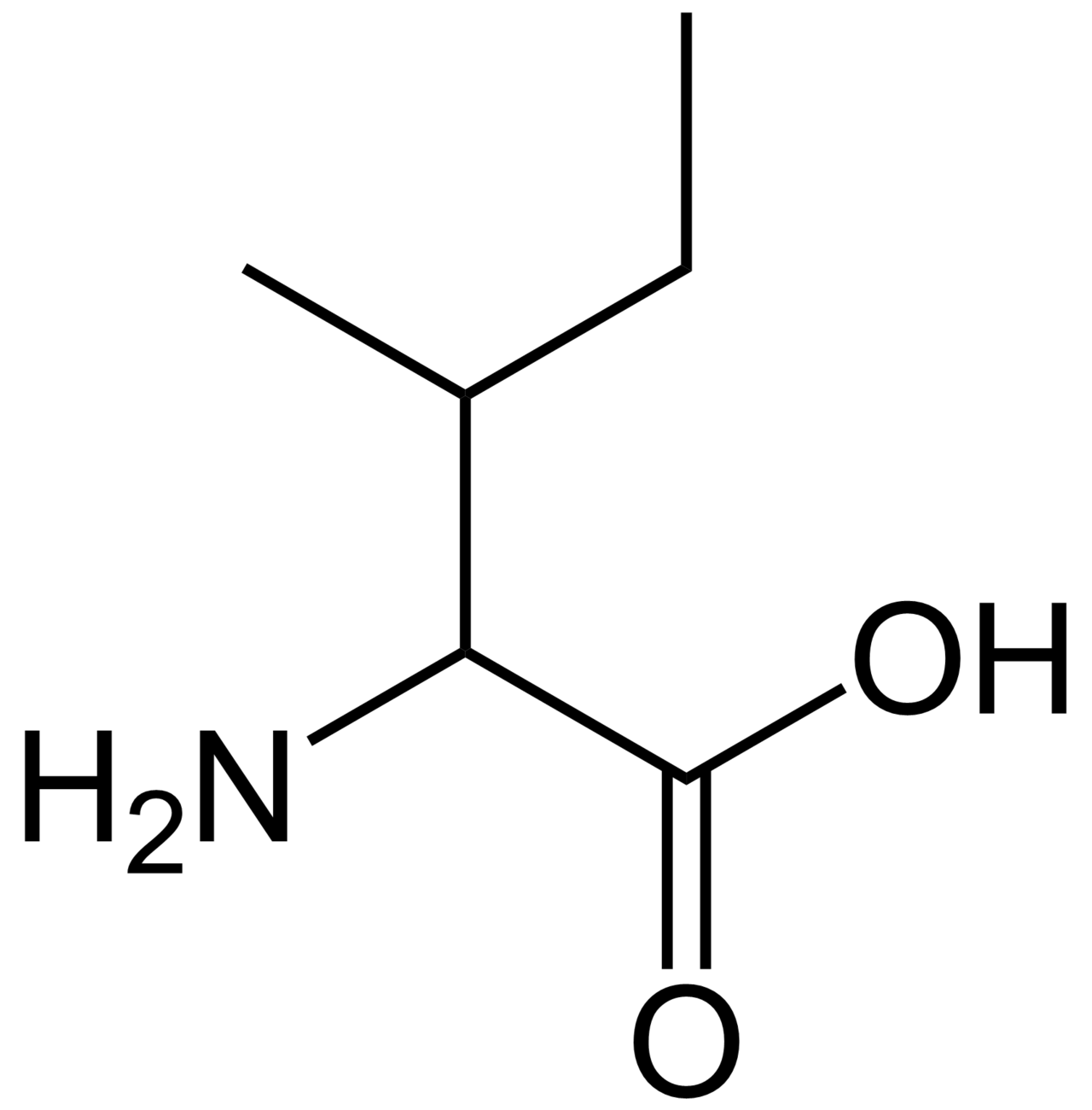 Human Isoleucine Needs