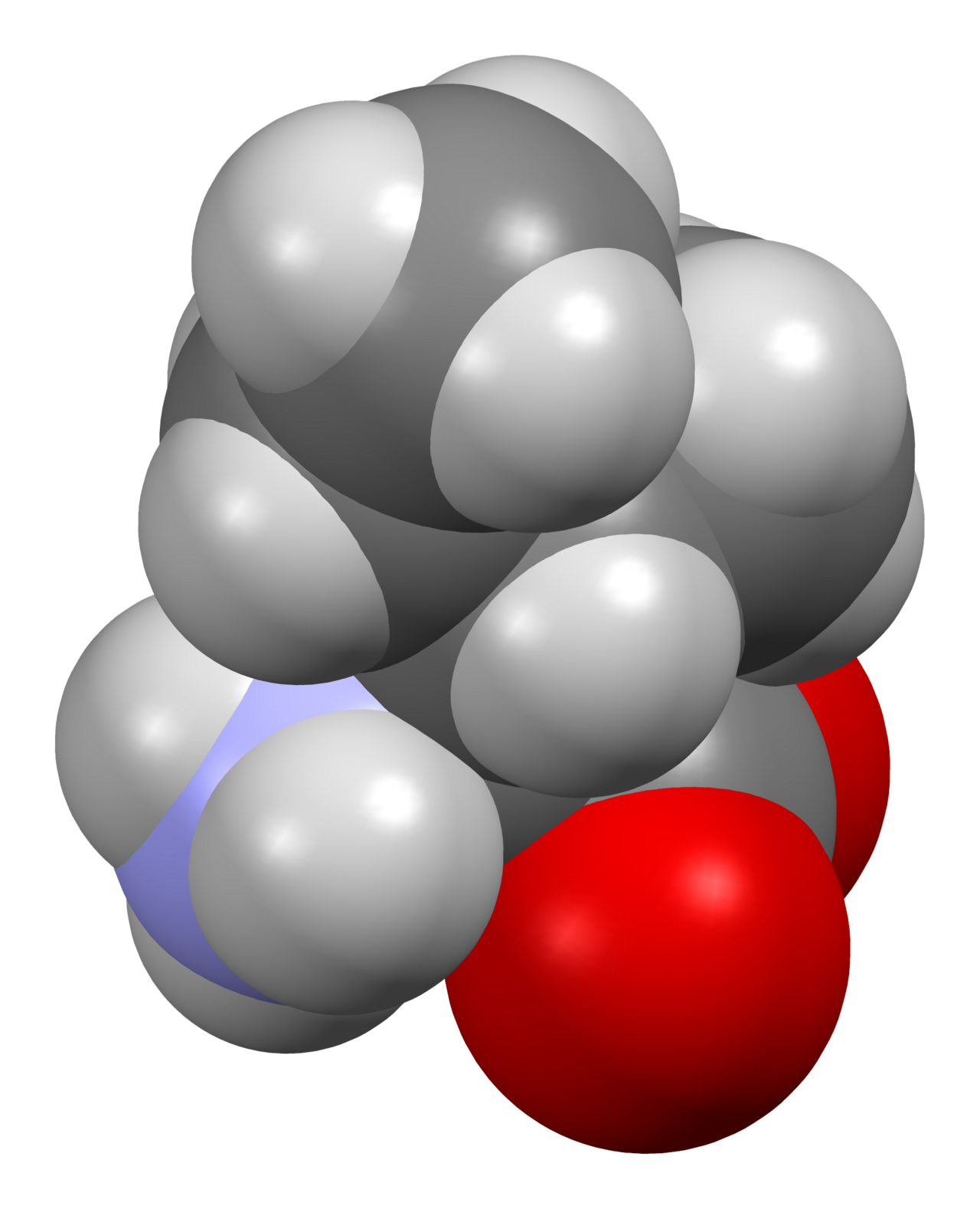 Human Isoleucine Needs