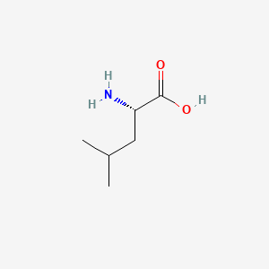 Human Leucine Needs