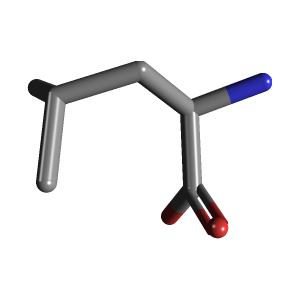 Human Leucine Needs