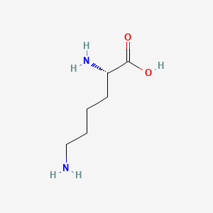 Human Lysine Needs
