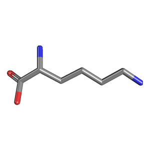Human Lysine Needs