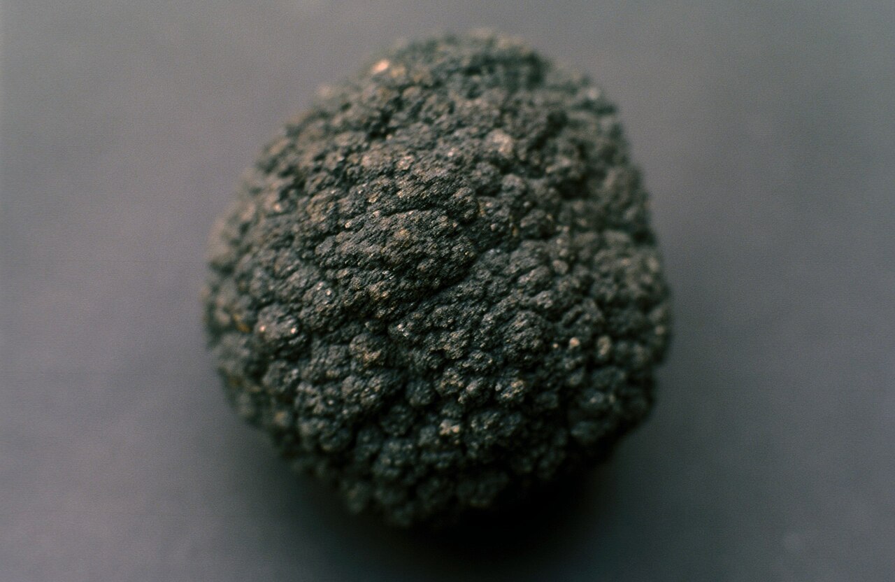 Human Manganese Needs