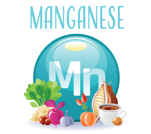 Human Manganese Needs