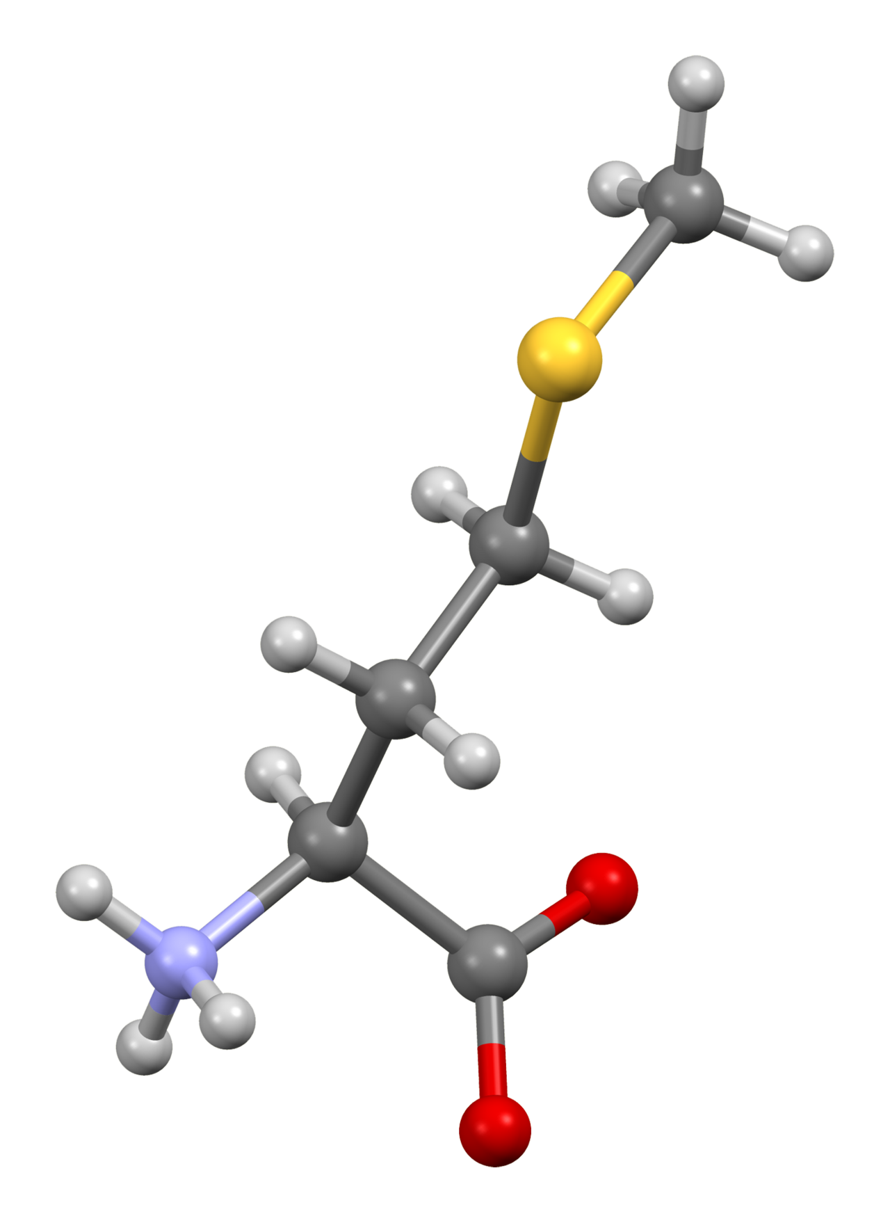 Human Methionine Needs