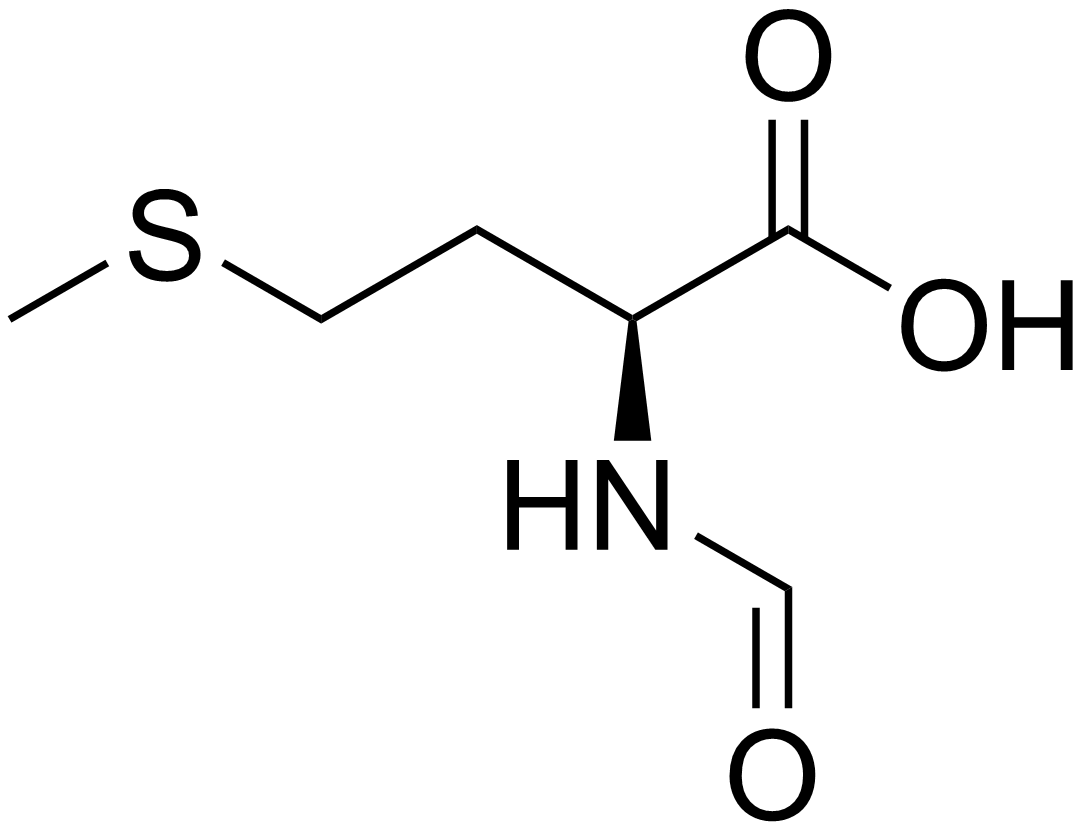 Human Methionine Needs