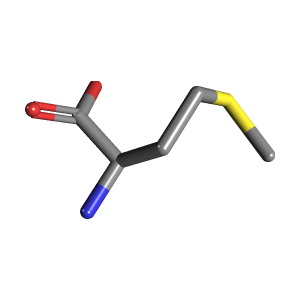 Human Methionine Needs