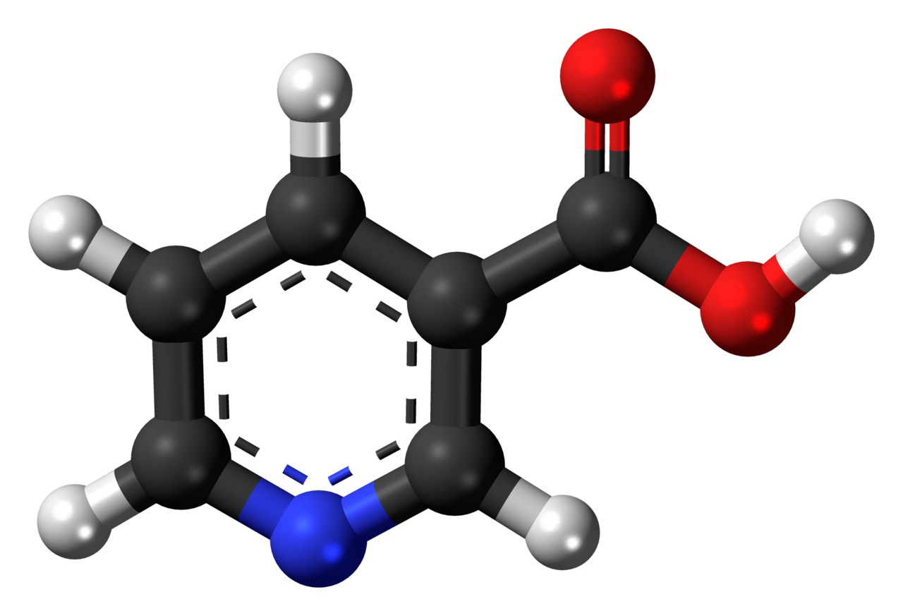 Human Niacin (Vitamin B3) Needs