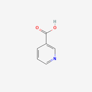 Human Niacin (Vitamin B3) Needs