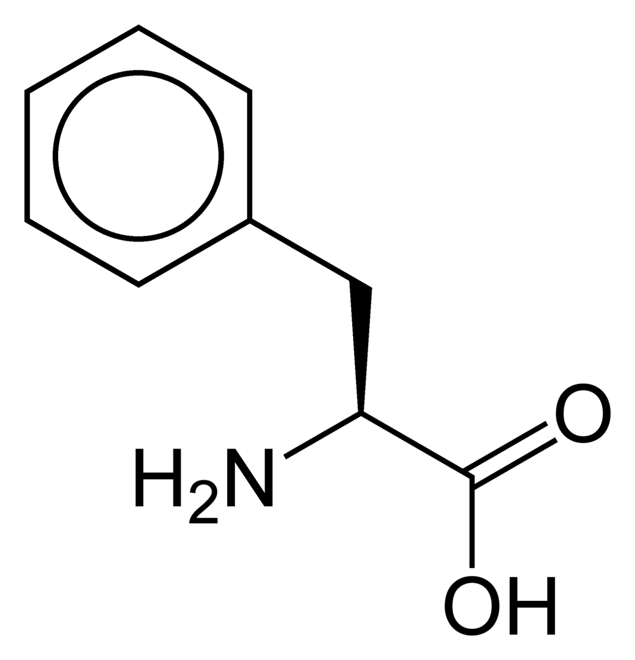 Human Phenylalanine Needs