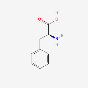 Human Phenylalanine Needs
