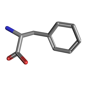 Human Phenylalanine Needs