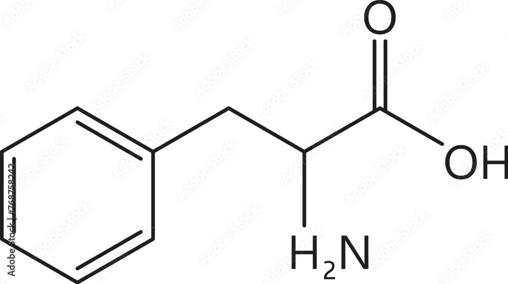 Human Phenylalanine Needs