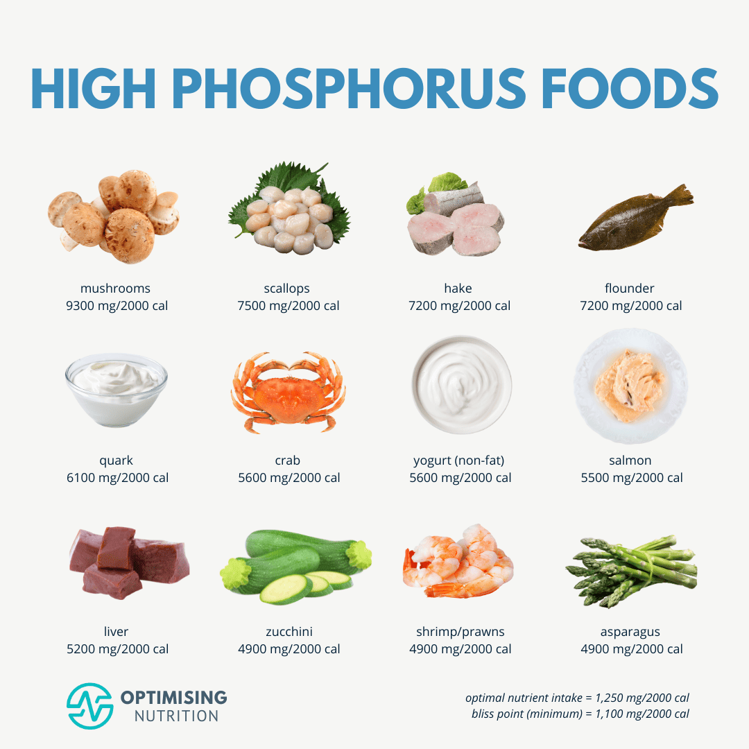Human Phosphorus Needs