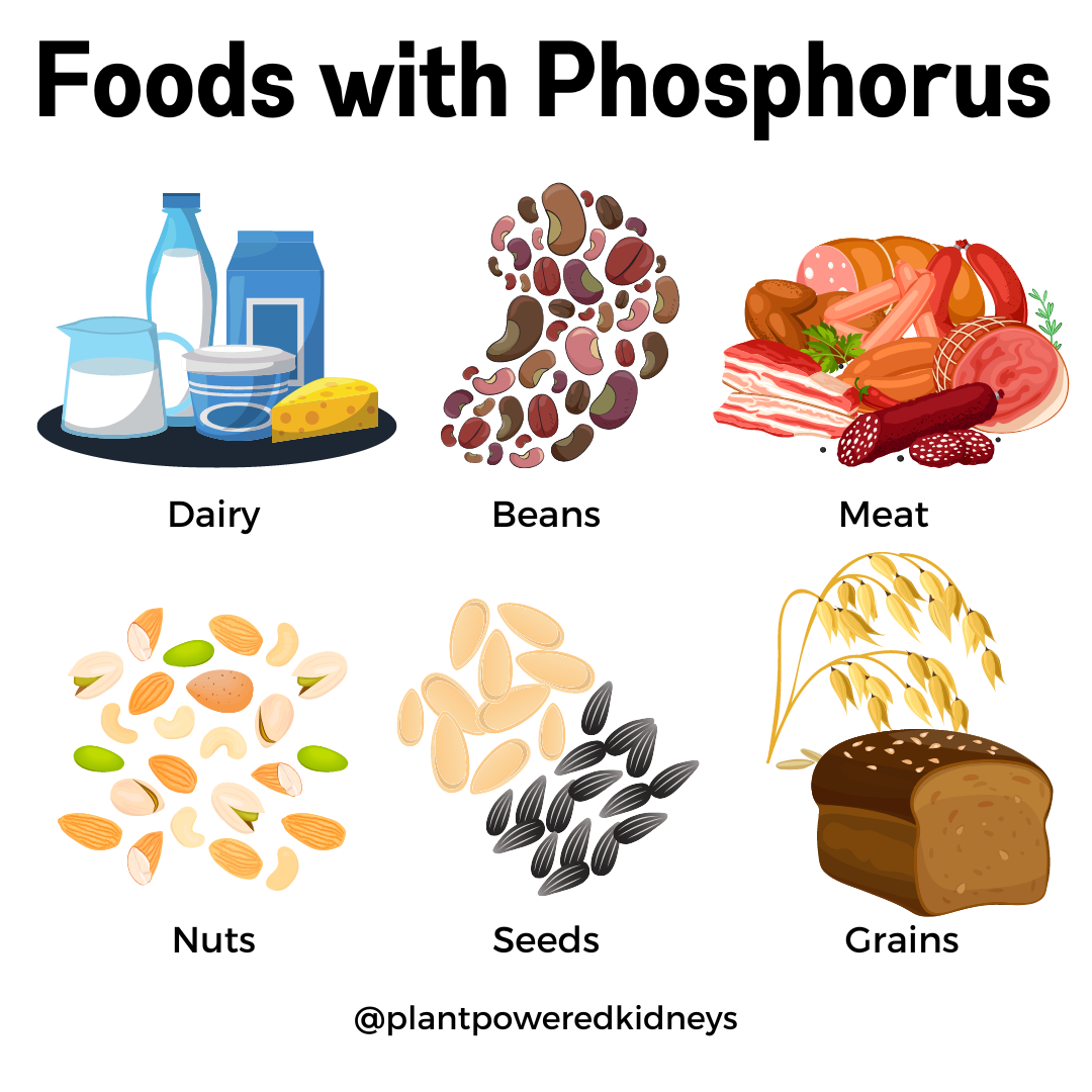Human Phosphorus Needs