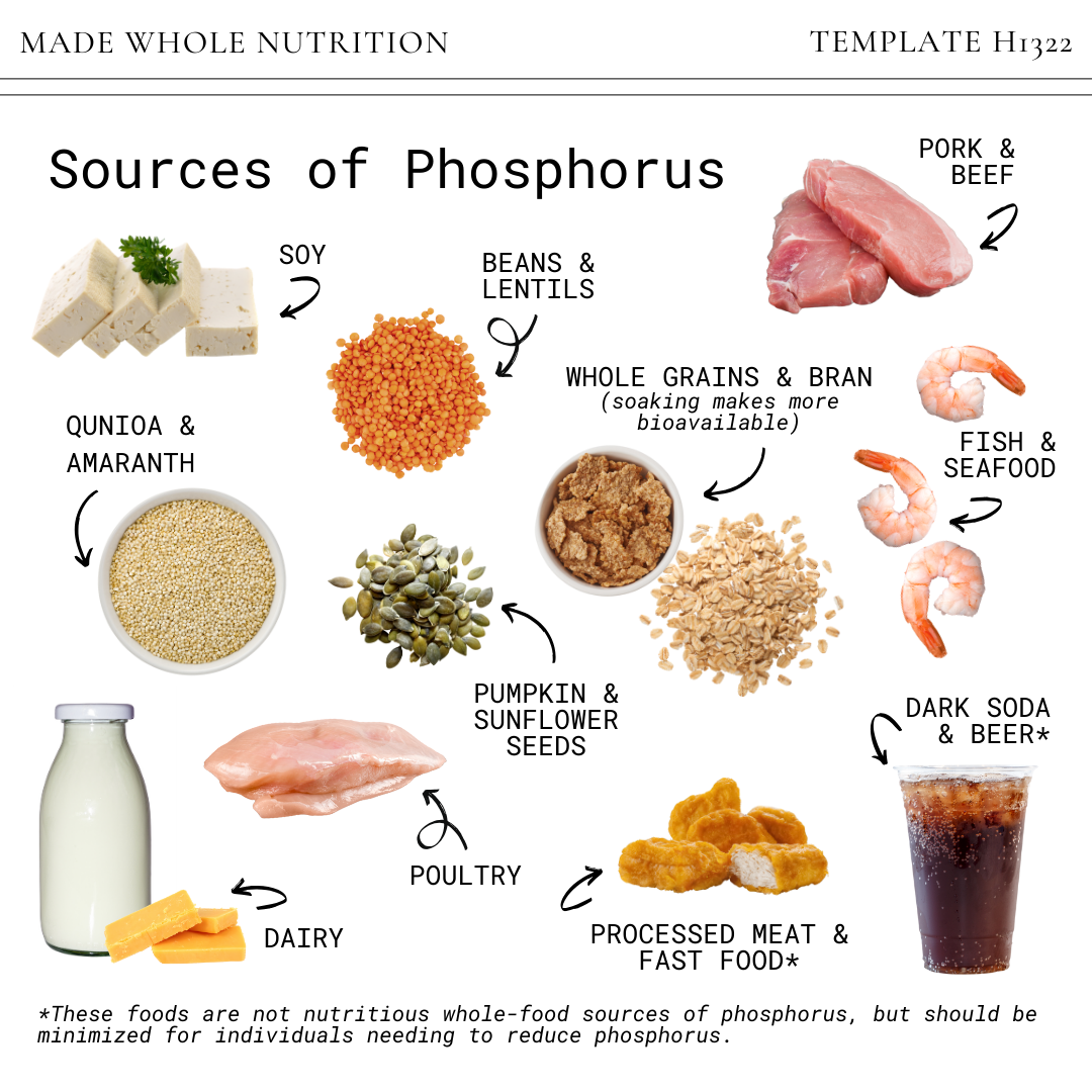 Human Phosphorus Needs