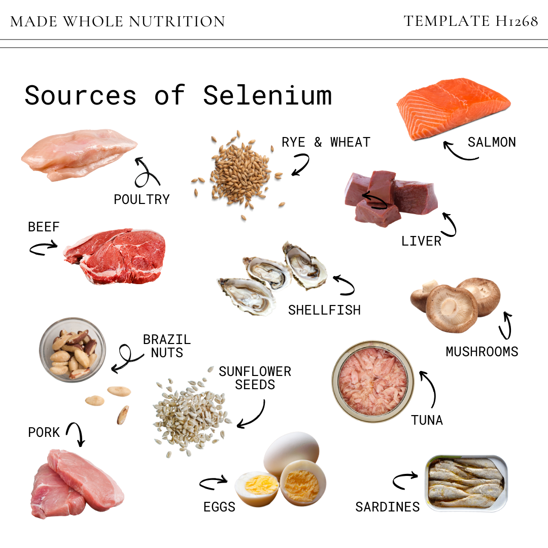 Human Selenium Needs