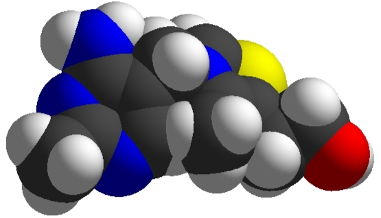 Human Thiamin (Vitamin B1) Needs