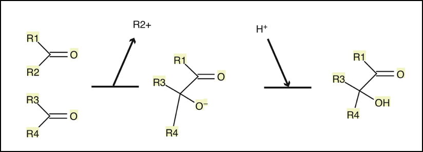 Human Thiamin (Vitamin B1) Needs