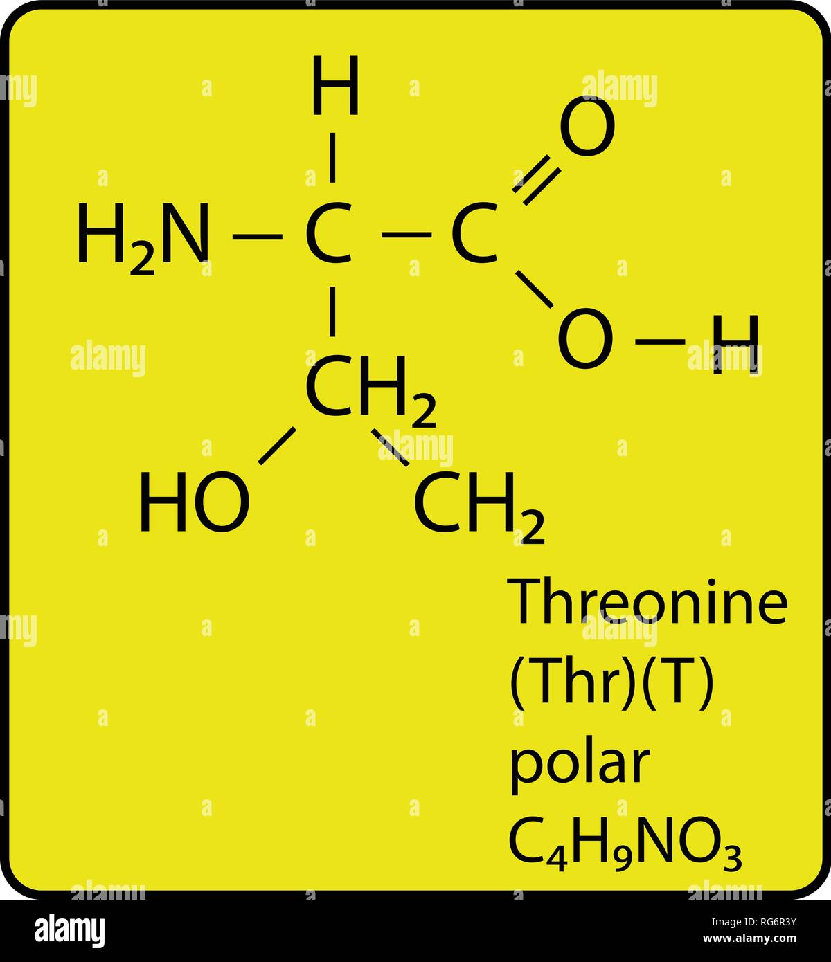 Human Threonine Needs