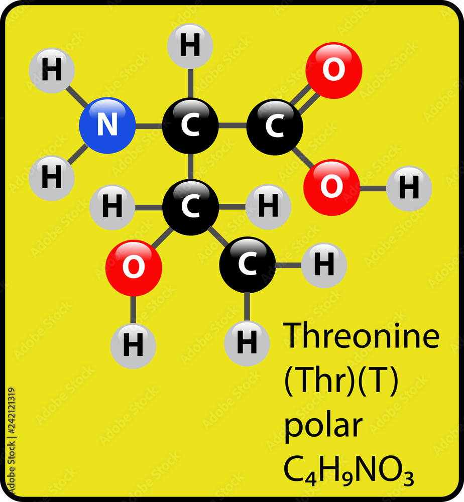 Human Threonine Needs