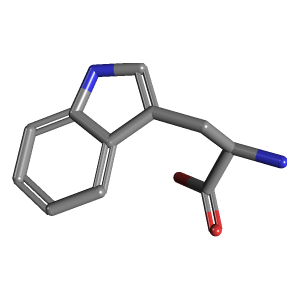 Human Tryptophan Needs