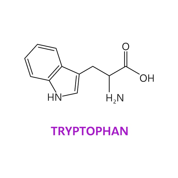 Human Tryptophan Needs