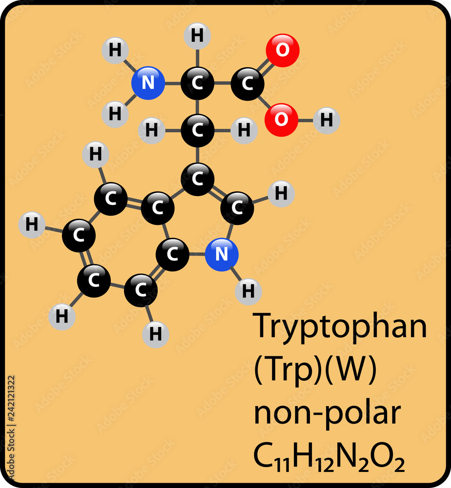 Human Tryptophan Needs