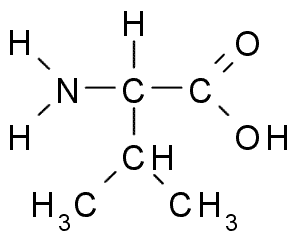 Human Valine Needs