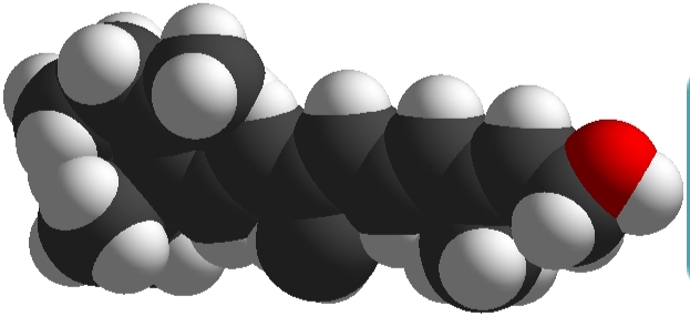 Human Vitamin A Needs