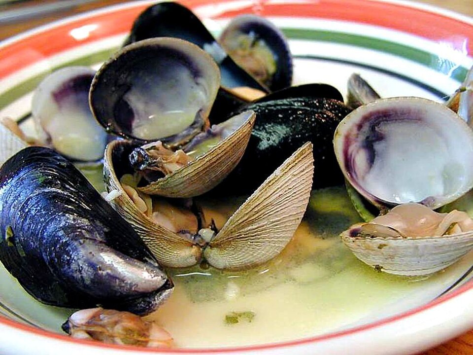 Human Vitamin B12 Needs
