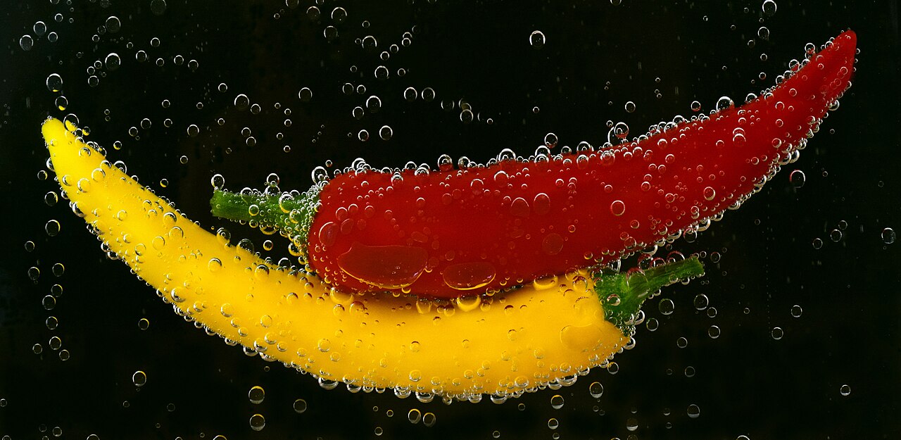 Human Vitamin C Needs