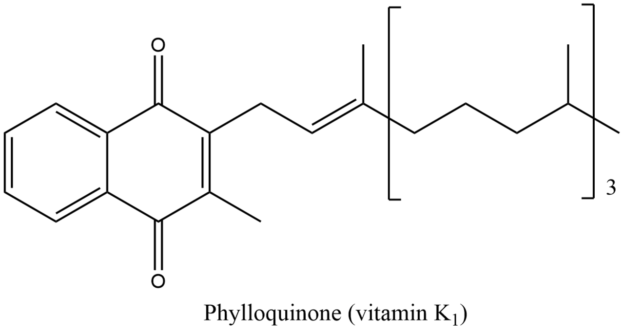 Human Vitamin K Needs
