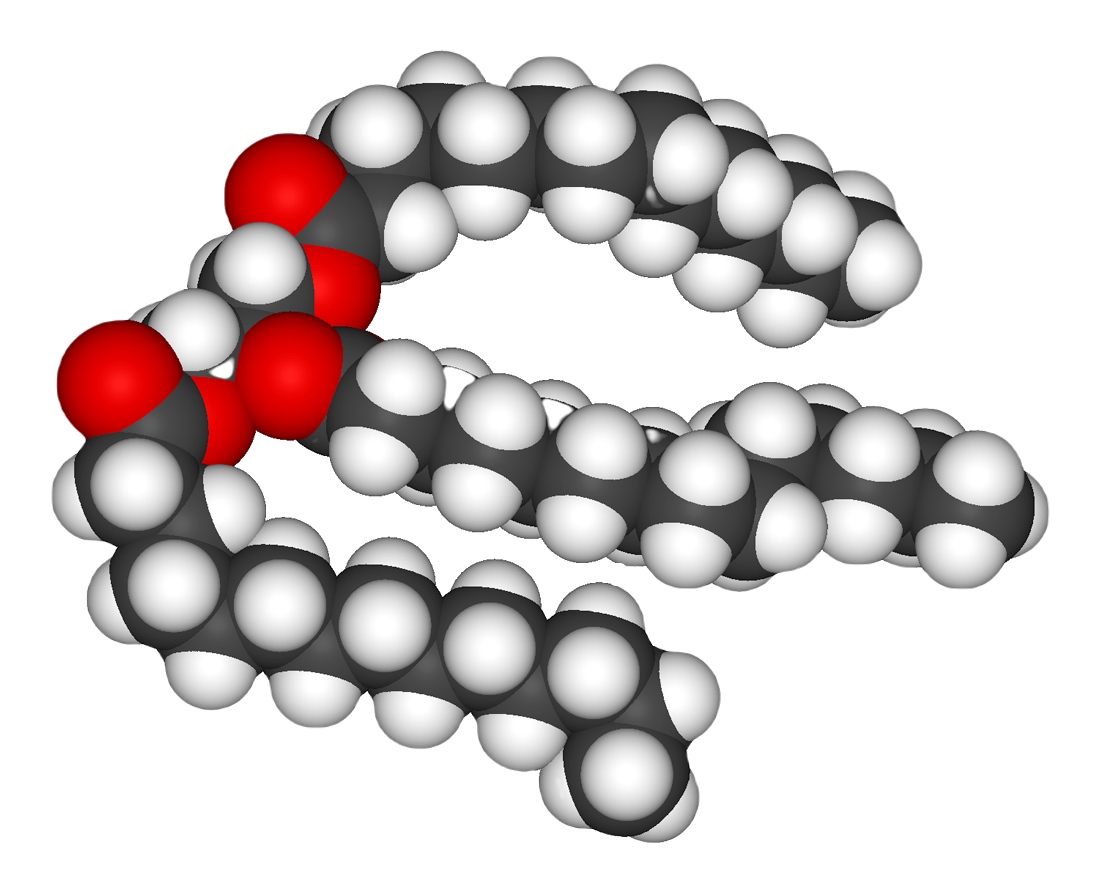 Macronutrients