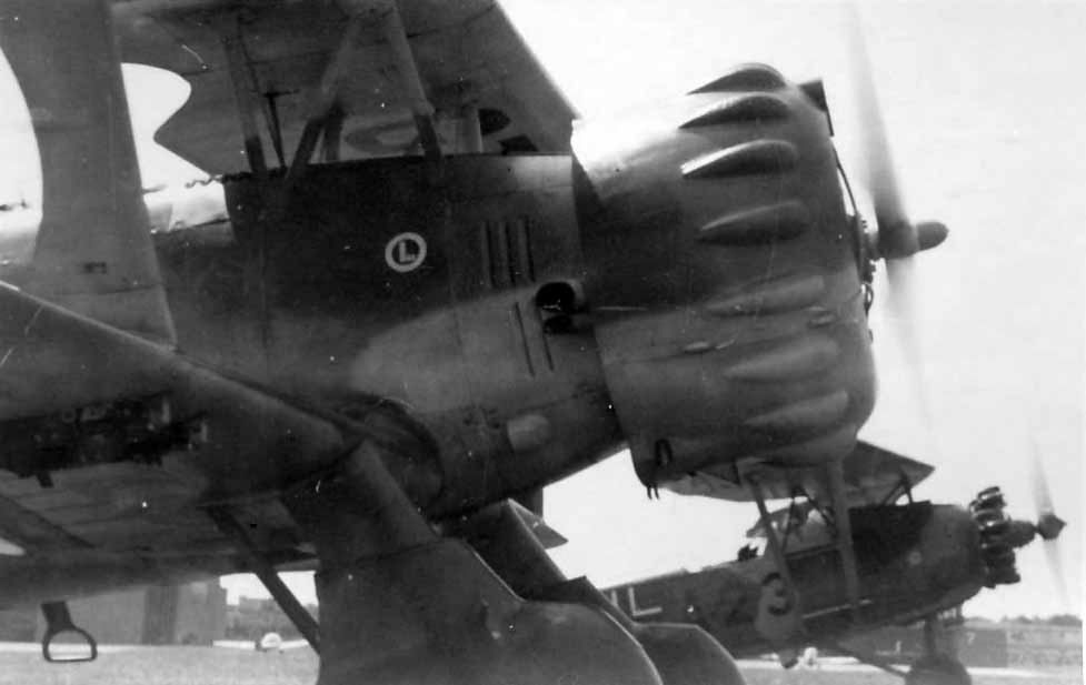Heinkel He 46 - Henschel Hs123A and Heinkel He 46 World War Photos