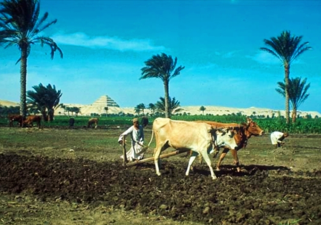step pyramid of Djoser
