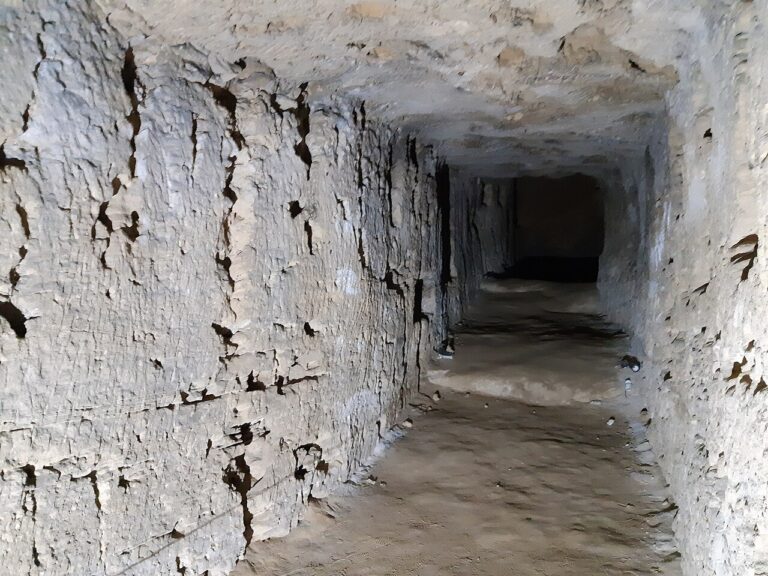 Serapeum, Alexandria