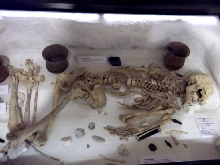 Amesbury Archer Salisbury and South Wiltshire Museum