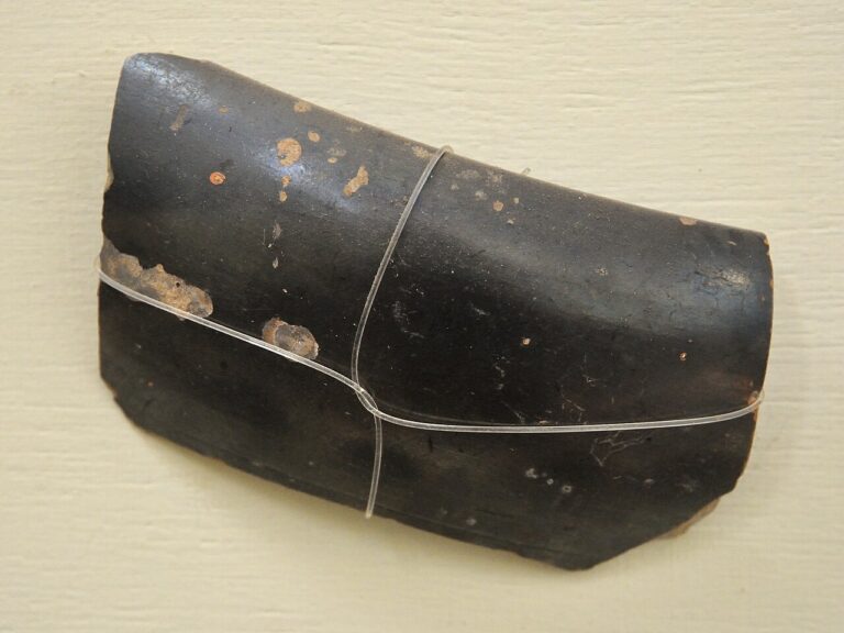 Fragment Northern Black Polished Ware BCE Sonkh Showcase 6 15 Prehistory and Terracotta Gallery Government Museum Mathura 02 24