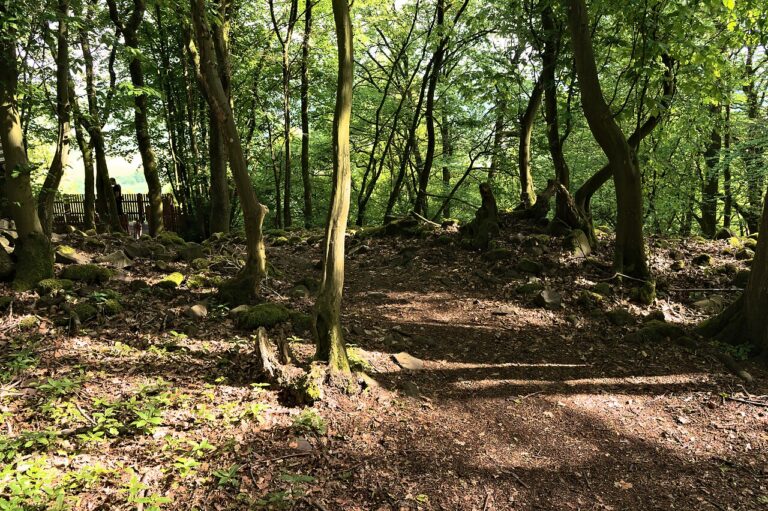 Dornburg Celtic Oppidum Hildegardisfelsen