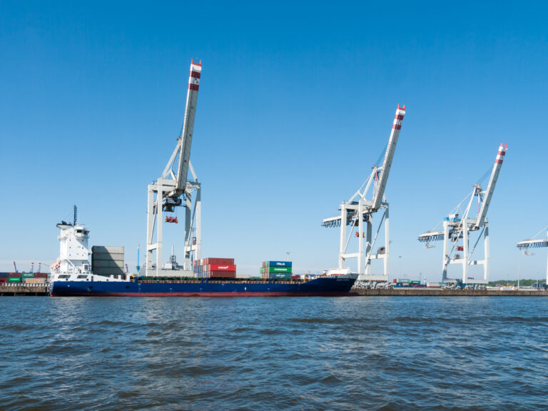 Container ship at Hamburg's Tollerort terminal