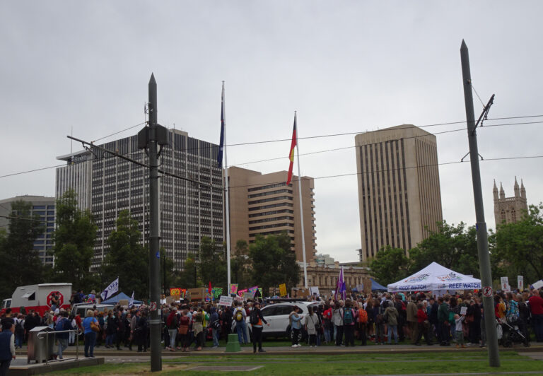 Climate protest crowd