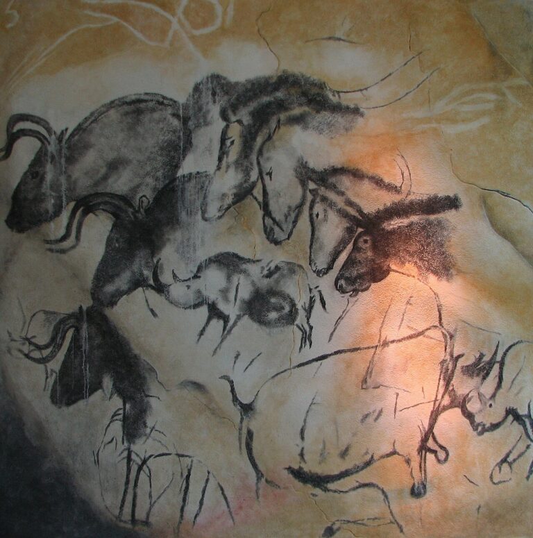 Paintings from the Chauvet cave