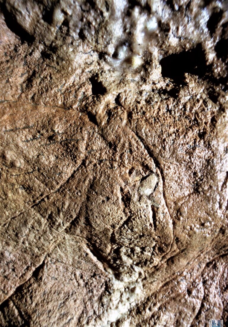 Les Combarelles Cave