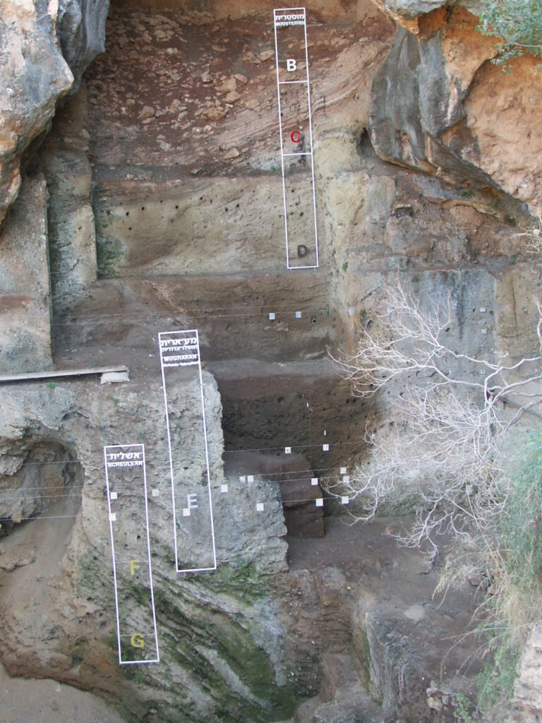 Tabun Cave section