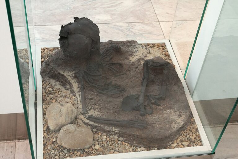 Middle Paleolithic, Cast of funeral of child from Cave of Qafzeh Anthropos, Brno