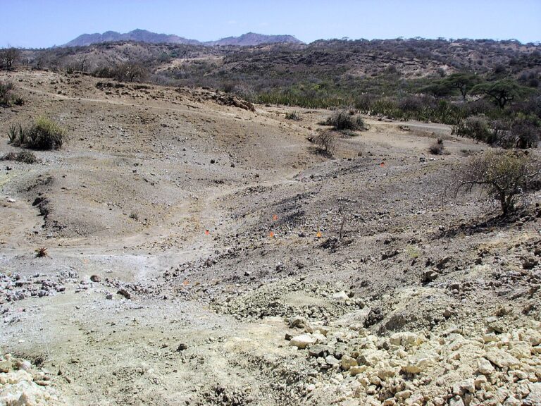 Olduvai Gorge fossil localities