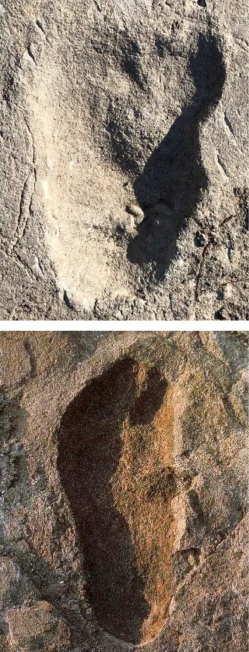 Laetoli hominin footprints