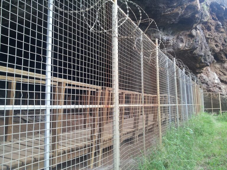 Border Cave